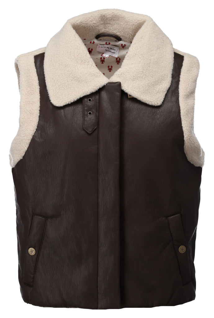 chocolate brown